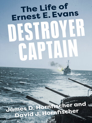 cover image of Destroyer Captain